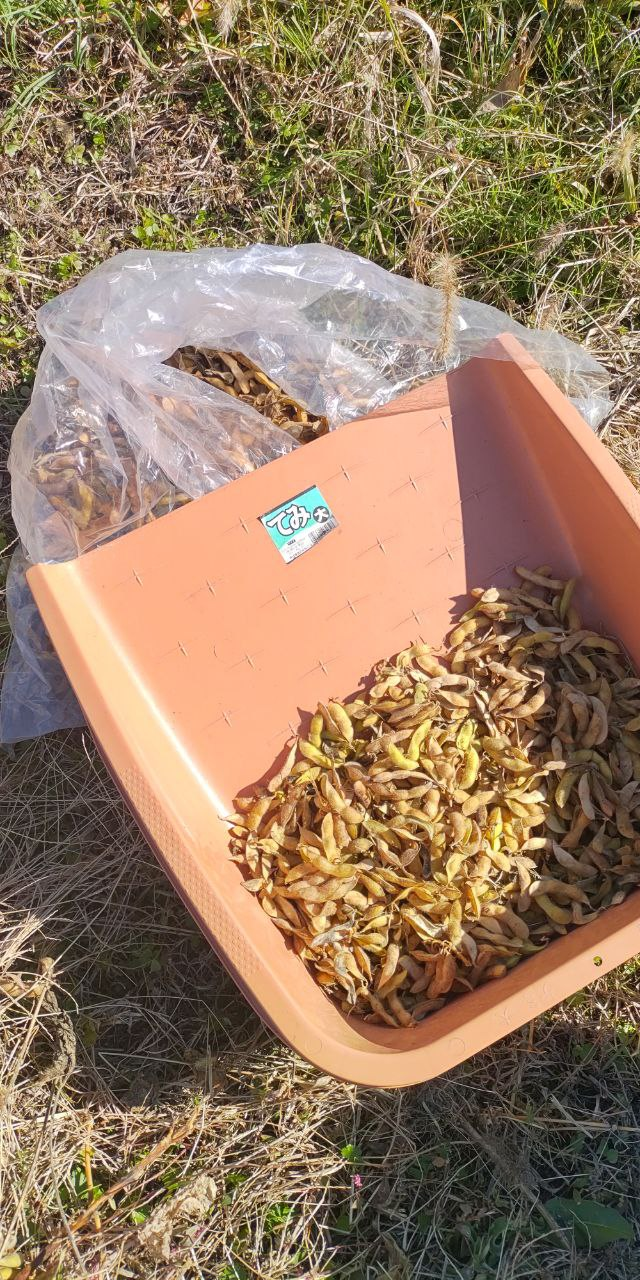 収穫の秋が過ぎゆく